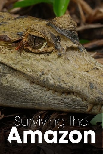 Surviving the Amazon