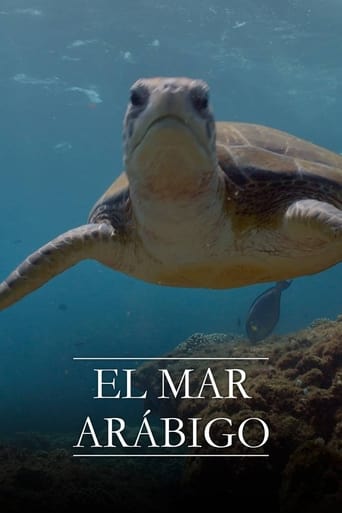 El mar Arábigo