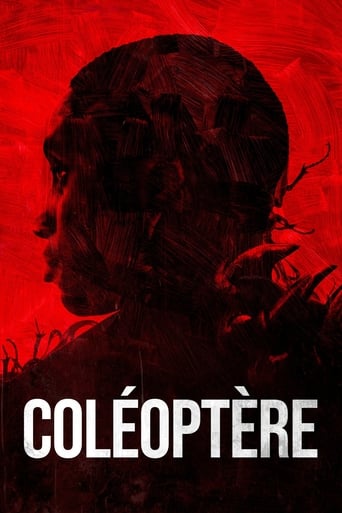 Coléoptère