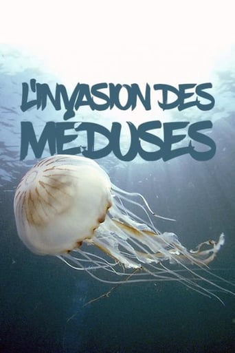 L'invasion des méduses – Une prolifération inquiétante