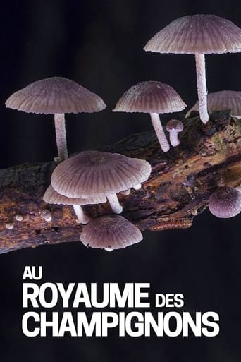 Au royaume des champignons