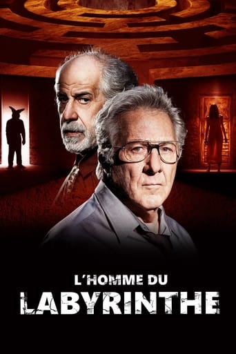 L'Homme du labyrinthe