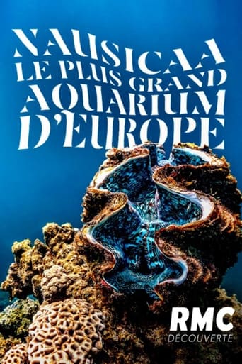 Nausicaa, le plus grand aquarium d'Europe