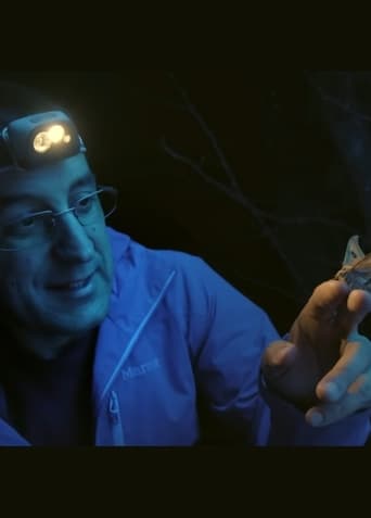 Darwin in Times Square: The Science of Urban Evolution