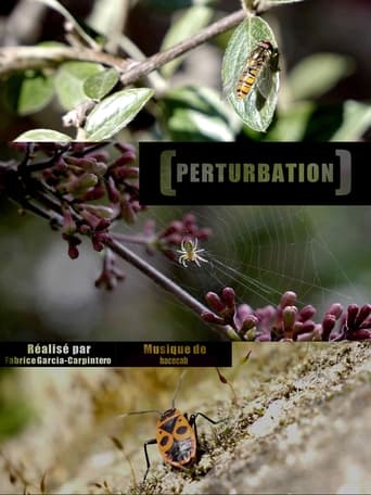 Perturbation