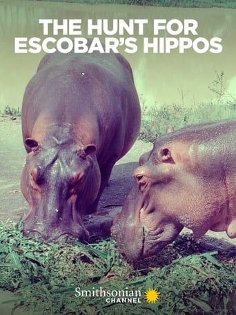 Les hippopotames d'escobar