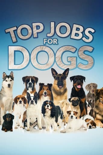 Top Jobs for Dogs