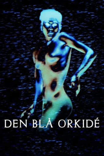 Den blå orkidé