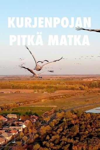 Kurjenpojan pitkä matka