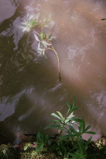 La Respiration de Cristal