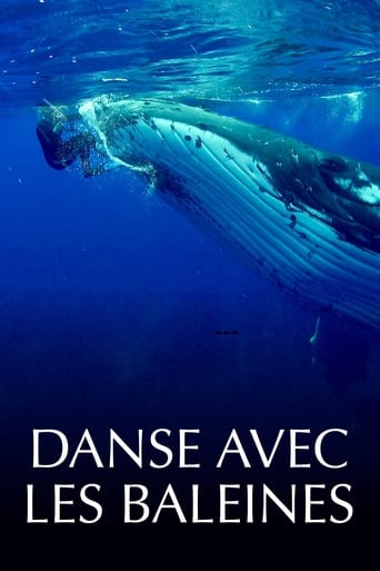 Danse avec les baleines