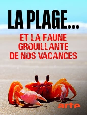 La plage... Et la faune grouillante de nos vacances