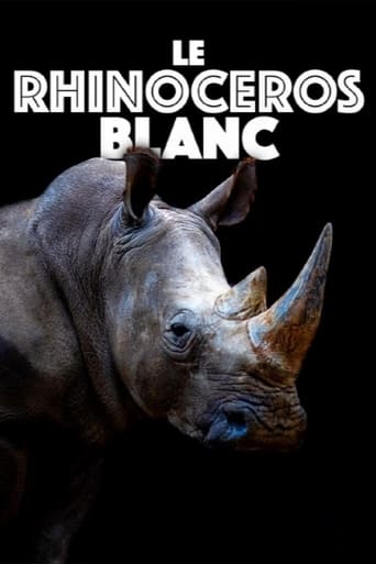 Le rhinocéros blanc - Une aventure familiale au cœur de l’Afrique