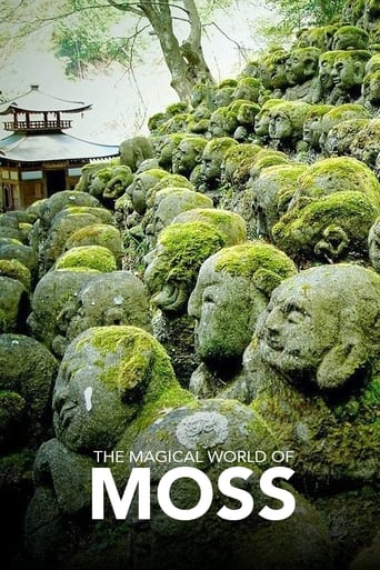 The Magical World of Moss