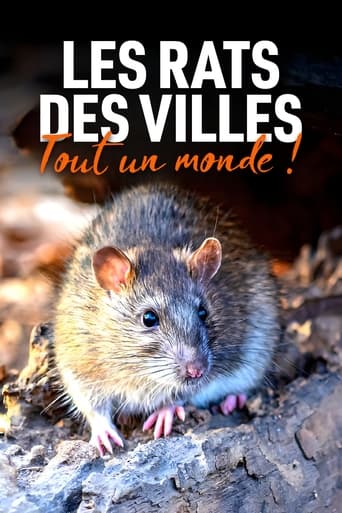 Les Rats des villes : Tout un monde !