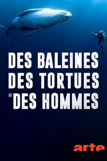 Des baleines, des tortues et des hommes