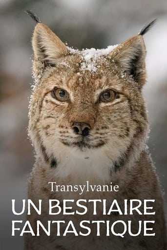 Transylvanie, un bestiaire fantastique