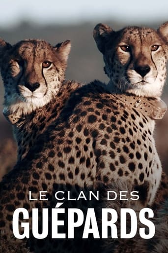 Le Clan des guépards