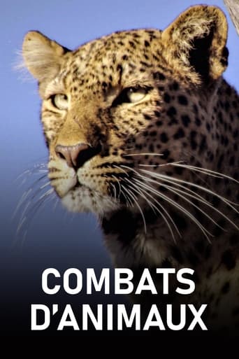 Combats d'animaux