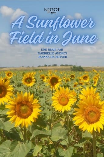 A Sunflower Field in June