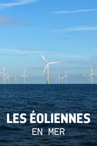 Les éoliennes en mer, quelle cohabitation avec la nature ?