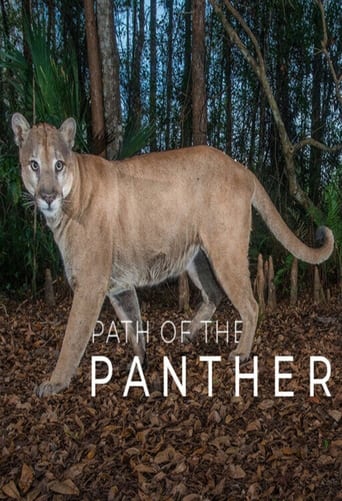 Path of the Panther