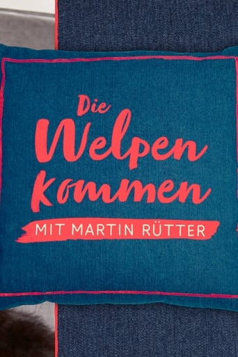 Martin Rütter – Die Welpen kommen