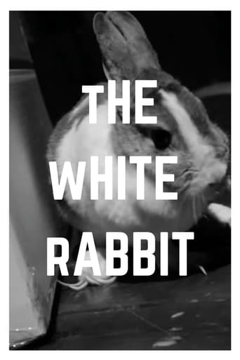 The White Rabbit