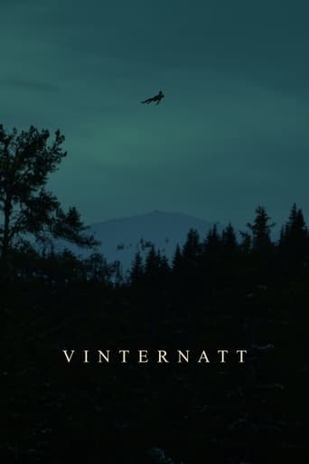 Vinternatt