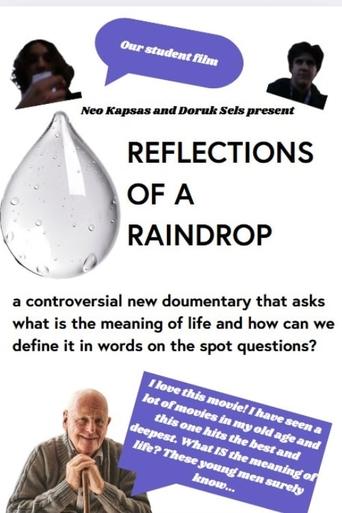 Reflections in a Raindrop: A Student Film