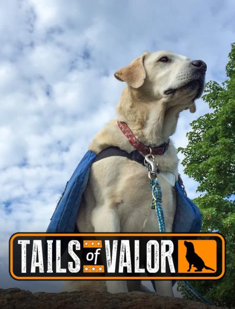 Tails of Valor
