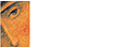 THE ICON FILM CHANNEL
