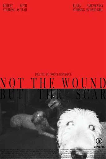Not the Wound but the Scar