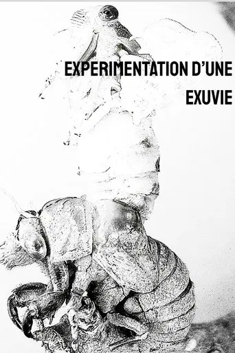 Expérimentation d'une exuvie