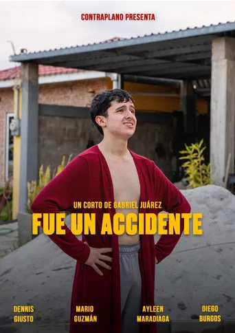 Fue un accidente