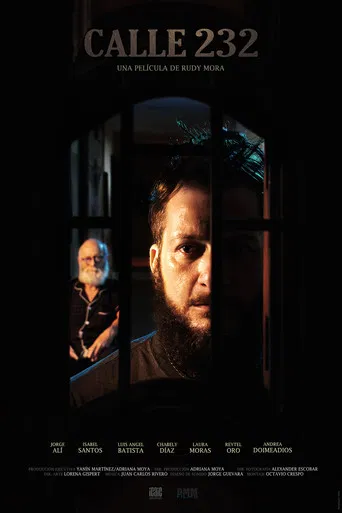 Calle 232