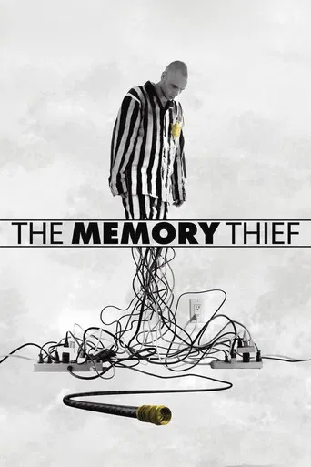 The Memory Thief