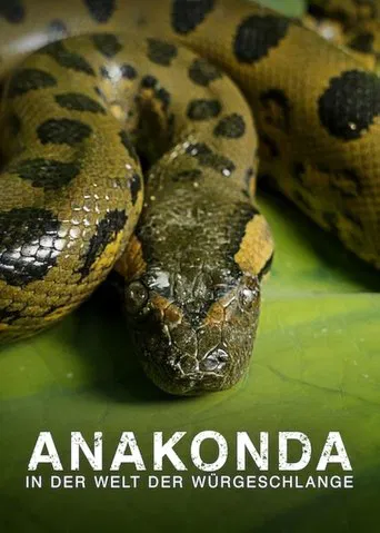 Anaconda: Assassina Silenciosa