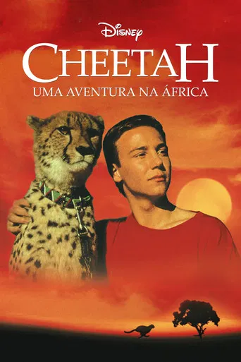 Cheetah - Uma Aventura na África