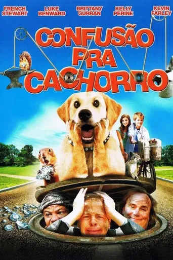 Confusão Pra Cachorro