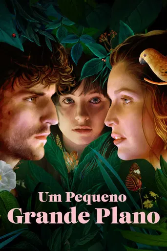 Um Pequeno Grande Plano