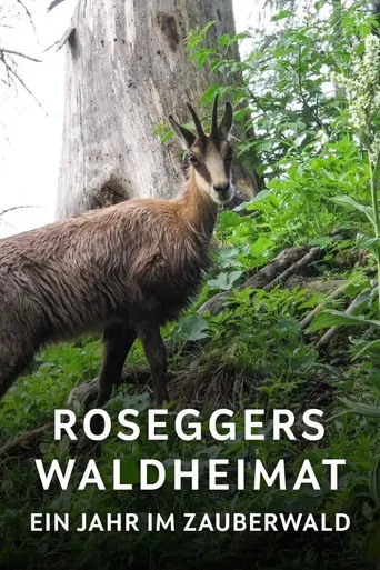 Roseggers Waldheimat - Ein Jahr im Zauberwald