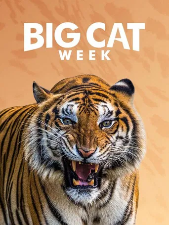 Big Cat Week