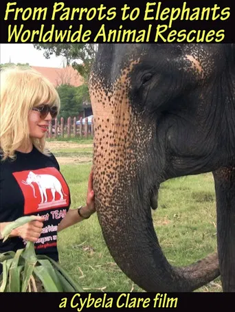 From Parrots to Elephants: Worldwide Animal Rescues