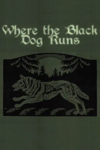 Where the Black Dog Runs