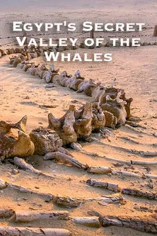 Egypt's Secret Valley of the Whales