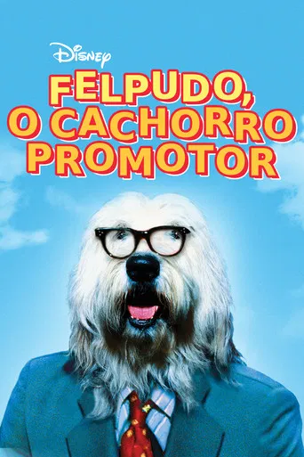 Felpudo - O  Cachorro Promotor