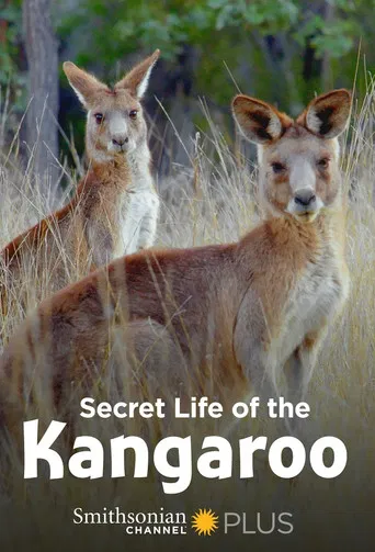 Secret Life of the Kangaroo