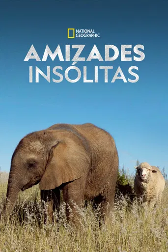 Amizades Insólitas