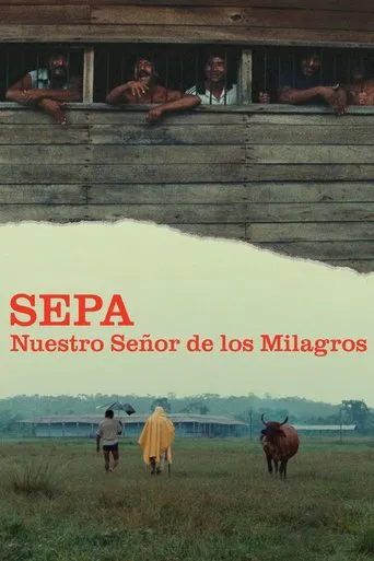 Sepa - Nuestro Señor de los Milagros